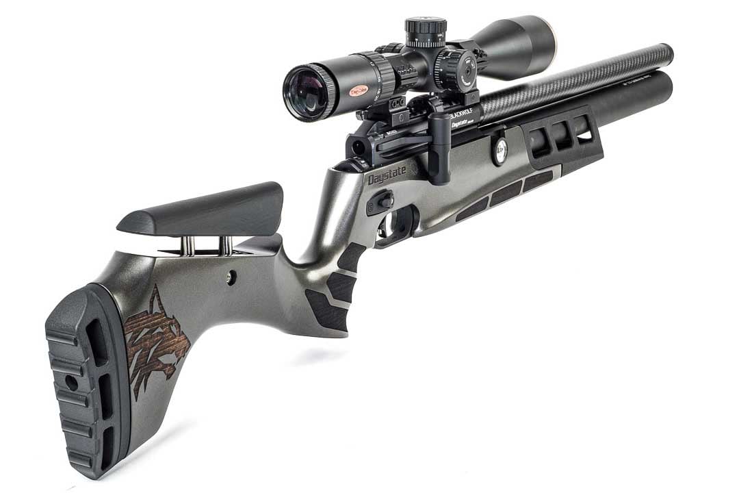 Daystate Black Wolf C-Type - Image 3
