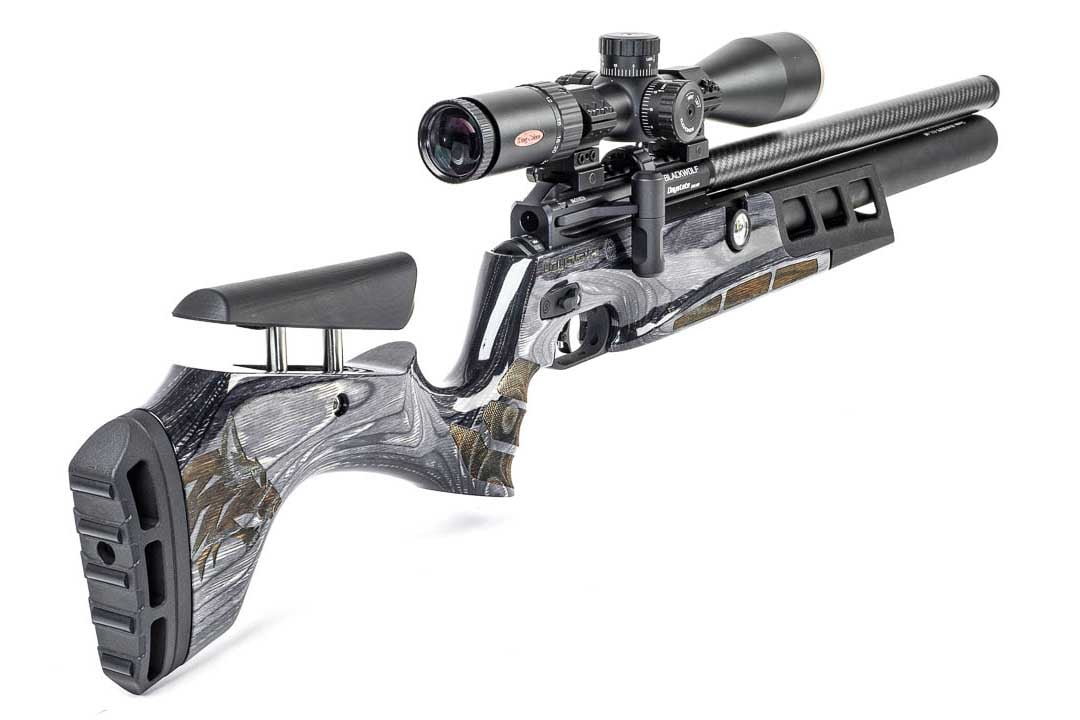 Daystate Black Wolf C-Type - Image 9